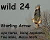 Starling Arrow - Wild