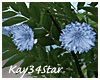 Wedding Flower Bush Blue