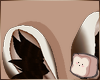 ⊹ Acorn Ears V1