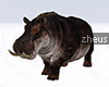 !Zheus Hippo Furni