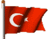 a turkish flag