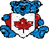 canadian bear