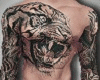 NK   Hot Tattoo  Tiger
