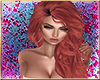 *HWR* Morgana Ginger