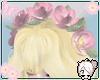 Yun| Carol Fairy