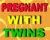TWINS IN PREGNANT BELLY