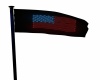 {LS} USA Neon Flag