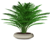 Ocean Indoor Plant v2