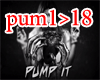 Pump It - Mix