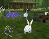 Pet the Rabbit  Animated
