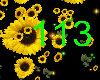 sunflower Effect