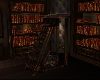 Silent library ladder
