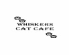 {LS} Whiskers Sign