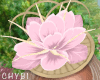 C~Pink Sophie Fascinator