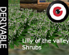 Lilly of the valley bush