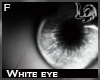 [LD] White Eyes Female