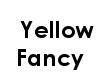 Yellow Fancy