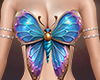 💙 Butterfly Set