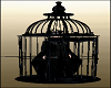 Black Bird Cage