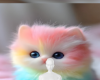 Baby kitty background
