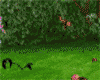 Kawaii Humming Birds