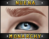 Nu. Shawn | Gingr Brows