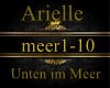 Arielle-Unten im Meere