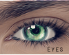 Nature Eyes