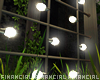 Fence Screen +Lights