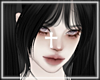 ♰ Noctis