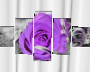 EM Purple Rose Photo