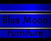 Blue Moon Bed w/poses