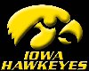 Iowa Hawkeye shirt