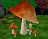 'Mushroom Chairs