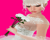 White Bride Roses