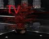 TV>  Anim Vampire Plant