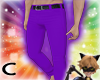 (C) Purple Salsa L Pants