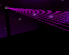 purple lazer