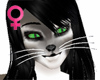Cat Whiskers Female