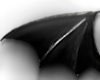another bat wings
