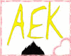 S: AEK trigger head sign