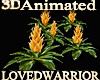 5 Animated Bromeliads 8