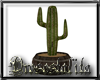 ~D~Street Cactus pot
