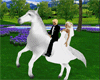 Wedding Day Gallop