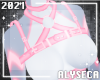 A✦ Echo Harness F