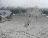 snow romance