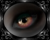 Lou Lignum Eyes