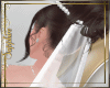 [S] Rania Wedd Veil