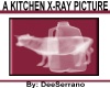 A KITCHEN PICTURE X-RAY