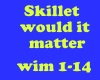 skillet would it matter